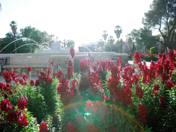 old main fountain and flowers