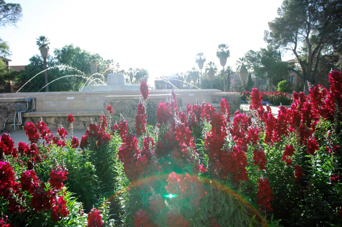 old main fountain and flowers