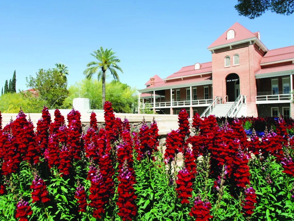 University of Arizona Old Main Building 